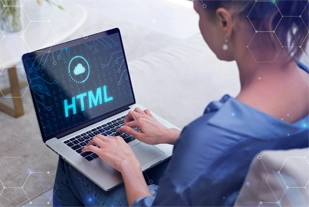 Custom Web App Development-img-3
