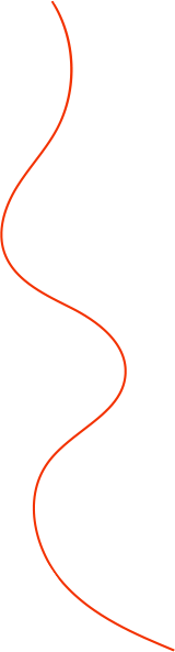 line-11
